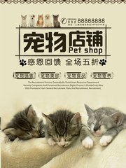 TPWallet钱包苹果版